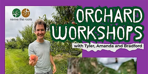 Orchard Care: Layering & Softwood Cuttings