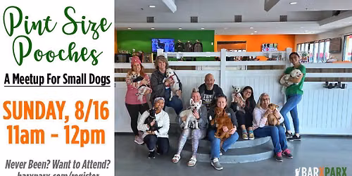 8\/16 @ 11am | Small Dog Meetup (All Breeds, Less Than 35 Pounds) - FREE Member Event!