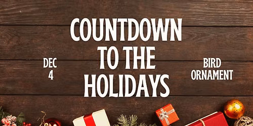 Countdown to the Holidays: Bird Ornament