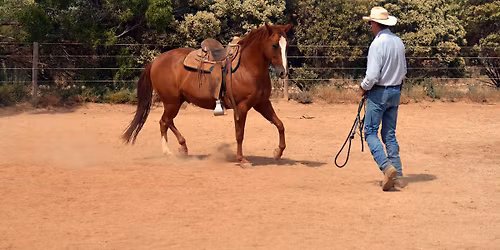 Wellington NZ, Horsemanship Clinic