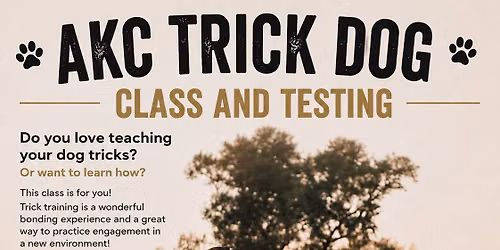 AKC Trick dog training
