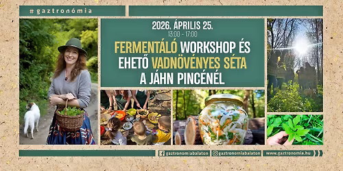 Ferment\u00e1l\u00f3 workshop \u00e9s ehet\u0151 vadn\u00f6v\u00e9nyes s\u00e9ta a J\u00e1hn Pinc\u00e9n\u00e9l \/\/ Gaztron\u00f3mia