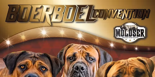 BOERBOEL-CONVENTION 2026 SABBS-APPRAISAL\/OPEN BOERBOEL-SHOW\/MEETING OF BOERBOEL ENTHUSIASTS 