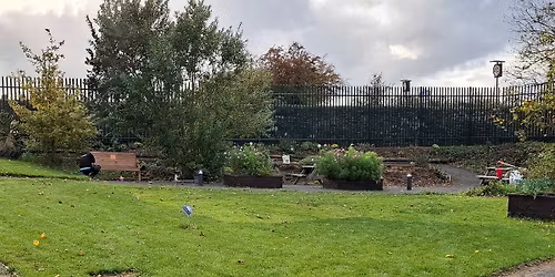 Grounds day with Bacon sarnies