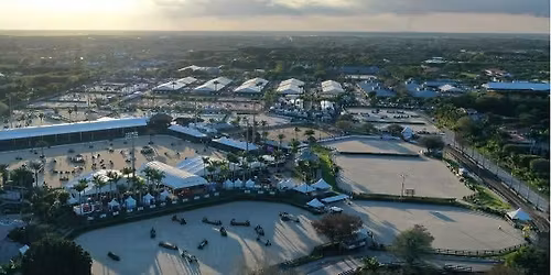 Wellington International Job Fair