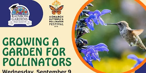 Growing a Garden for Pollinators