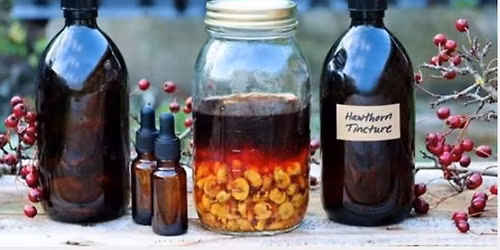 Simple Wellness- A beginners guide to making Herbal Tinctures