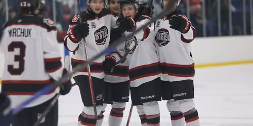 Chicago Steel at Dubuque Fighting Saints at ImOn Arena