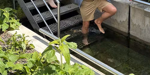 Traditionelles Anwassern der Kneippbecken 