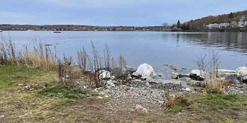 Nature-Based Solutions with OURSHORE