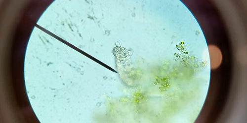 Saturday DNA! NYC - The Microscopic World Around Us