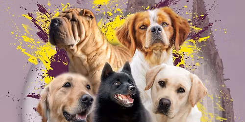 Exposition Canine Internationale de Ch\u00e2teauroux 