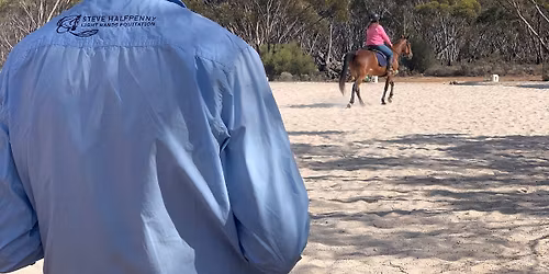 Light Hands Dressage Course and Benchmark Day