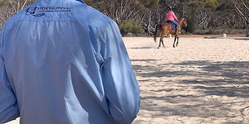 Light Hands Dressage Course and Benchmark Day