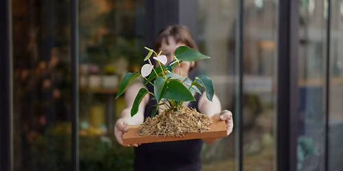 Anthurium Mounting Workshop