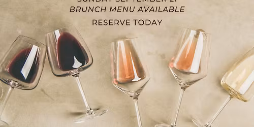 Sip & Savor Wine Social