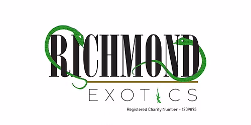 Cake and Plant Sale!