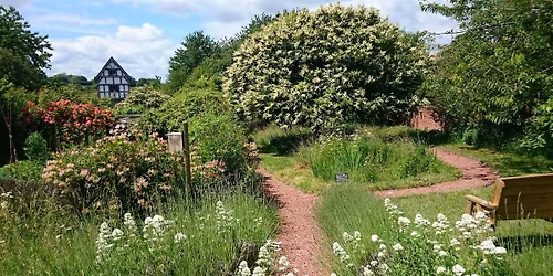 Wildlife Garden Open Day