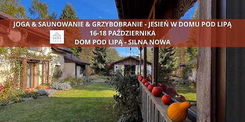 WARSZTATY JOGI & REGENERACJA W NATURZE | JOGA \u2022 LAS \u2022 GRZYBY \u2022 SAUNA