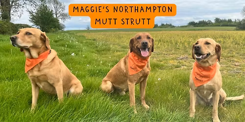 Mutt Strutt Northampton 2026