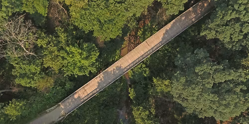 Community Pride Stroll to the Bridge