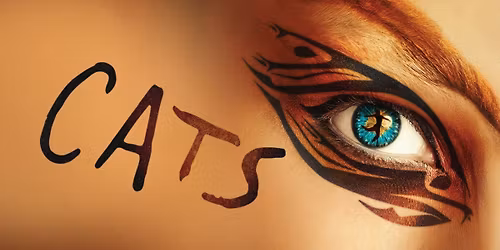 CATS at The Bristol Hippodrome | 24\u201328 November 2026