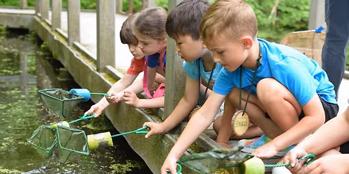Saturday Nature Squad: Pond Explorers