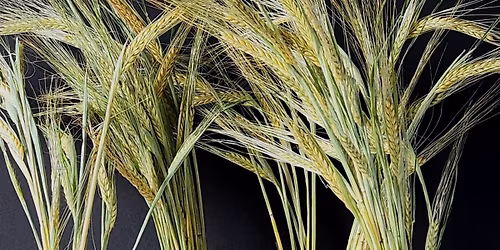 Valsts sv\u0113tku tirgus