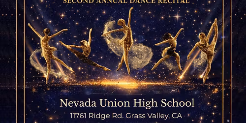 A Night Under The Stars 