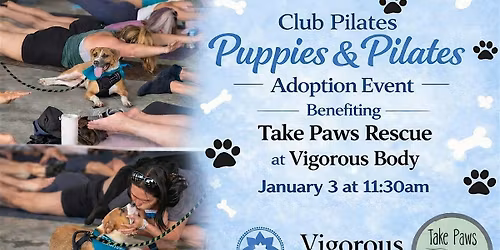 Puppies & Pilates with Club Pilates