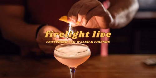 Firelight Live feat. Ted Walsh and Friends