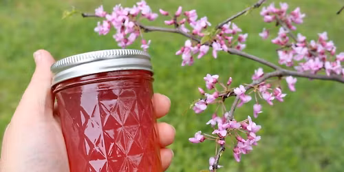 Wildflower Workshop and Jelly Tasting March 13th