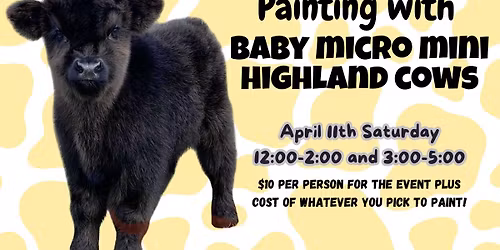 *Soldout* Painting with BABY Mini Highland Cows