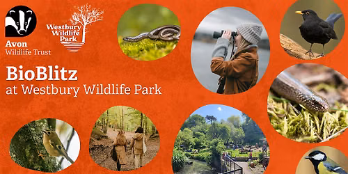 Youth Event: BioBlitz at Westbury Wildlife Park
