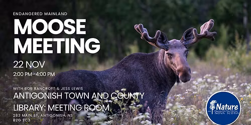 Moose Meeting: Antigonish Library