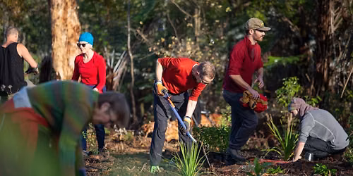 Mangemangeroa Reserve - R\u0101 Whakato \/ Planting Day 2026