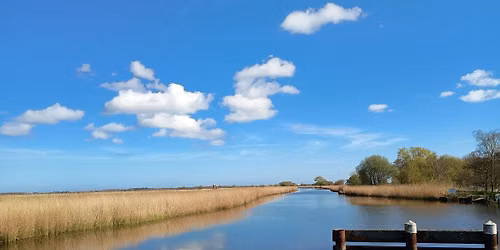 Summer Wildlife Walk at Heigham Holmes