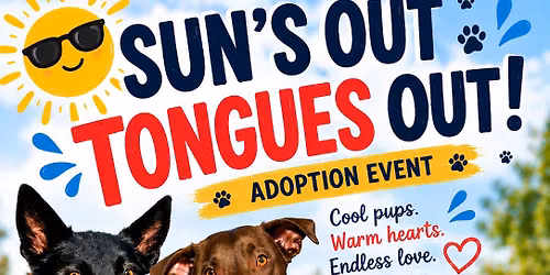 Sun\u2019s Out Tongues Out!