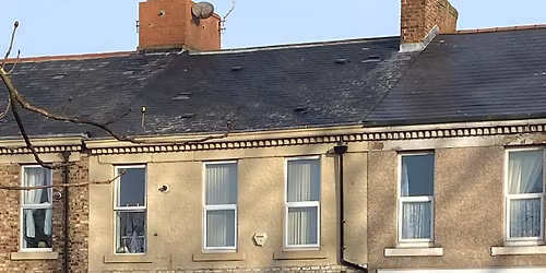 Next Auction 8th December 2025