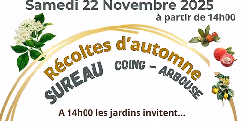 R\u00e9coltes d'automne - Sureau 