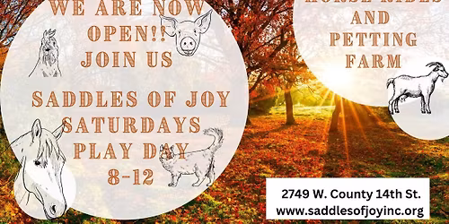 Play Day with the Animals