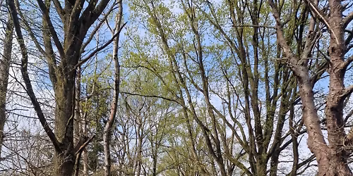 Wandeltocht Stichting Geniet namens Anique