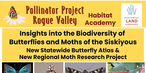 Insights into the Biodiversity of Butterflies & Moths of the Siskiyous