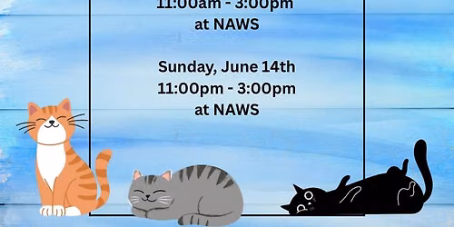 NAWS \u2600\ufe0f Sunshine & Second Chances: Summer Cat & Kitten Adoption Weekend \u2600\ufe0f
