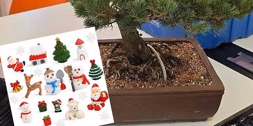 Brewtifully Festive Bonsai class