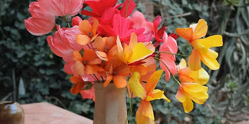 Long Lunch Studio Paper Floral Workshop