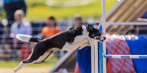 Fellestrening m\/instrukt\u00f8r (kveldstid) nov\/des FULLT 