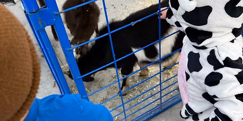 Halloween Petting Zoo (FREE Event)