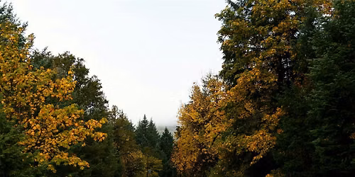 September 2026 Roseburg Rising