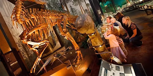 Christmas Trip to the National Museum Cardiff